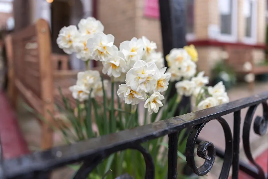 Happy Days Guesthouse بريدلينغتون المملكة المتحدة